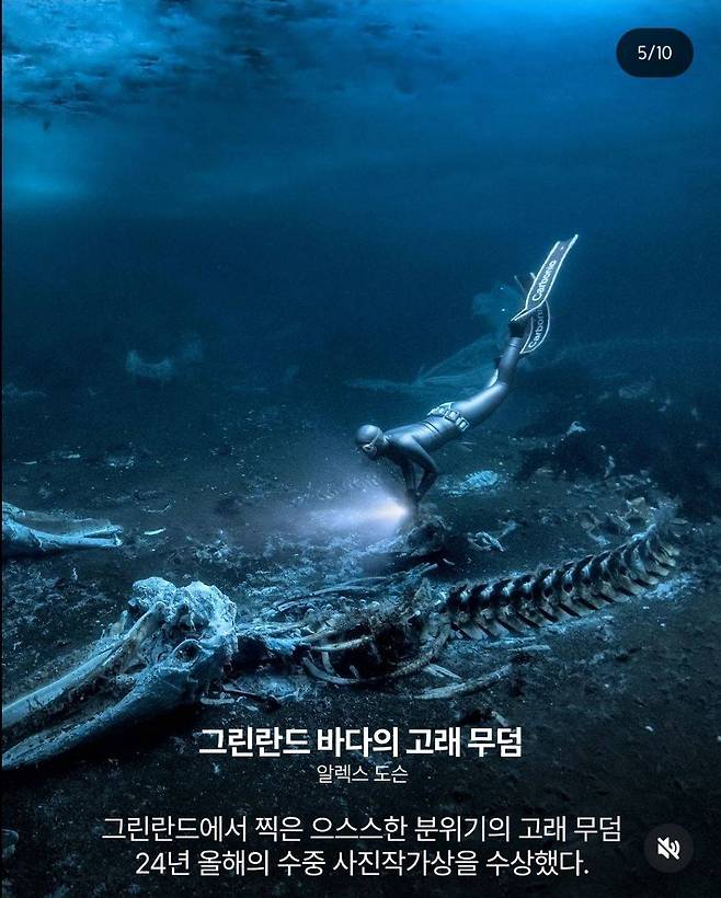 IMG_4554.jpeg 2024 네이처가 선정한 올해의 과학 사진