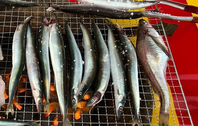 양미리 구이 ©bnt뉴스