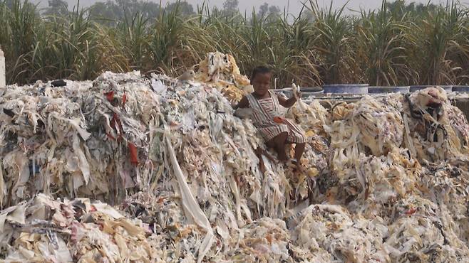 2024년 10월25일 인도 파니파트 표백 공장의 노동자 할림(25)의 세살배기 딸 하마라가 표백 작업 중인 옷 더미 위에서 놀고 있다. 이 옷들은 독성 표백 용수에 담갔다가 뺀 것들이다. 한겨레 조윤상 피디.