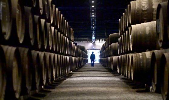 테일러스의 와이너리 있는 300여년 된 오크통들. 원동욱 기자
