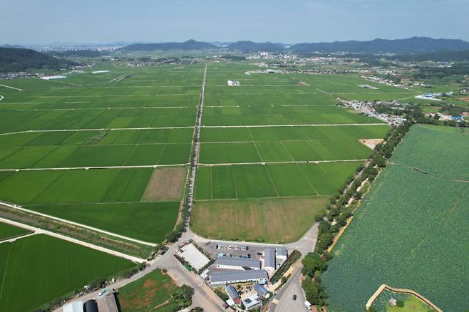 하늘에서 본 무안군 일로읍 백년로 들녘. 전남도