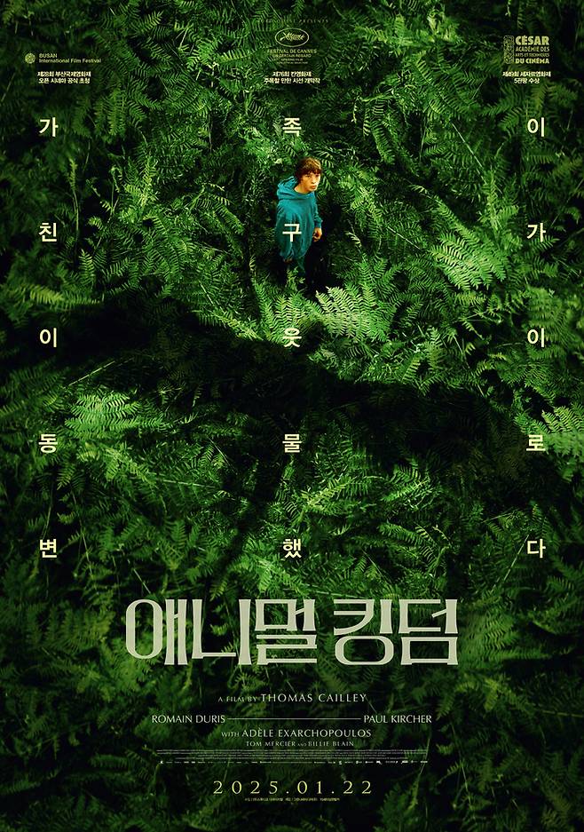 수입: ㈜스튜디오 디에이치엘 | 배급: 그린나래미디어㈜ | 공동배급: ㈜스튜디오 디에이치엘