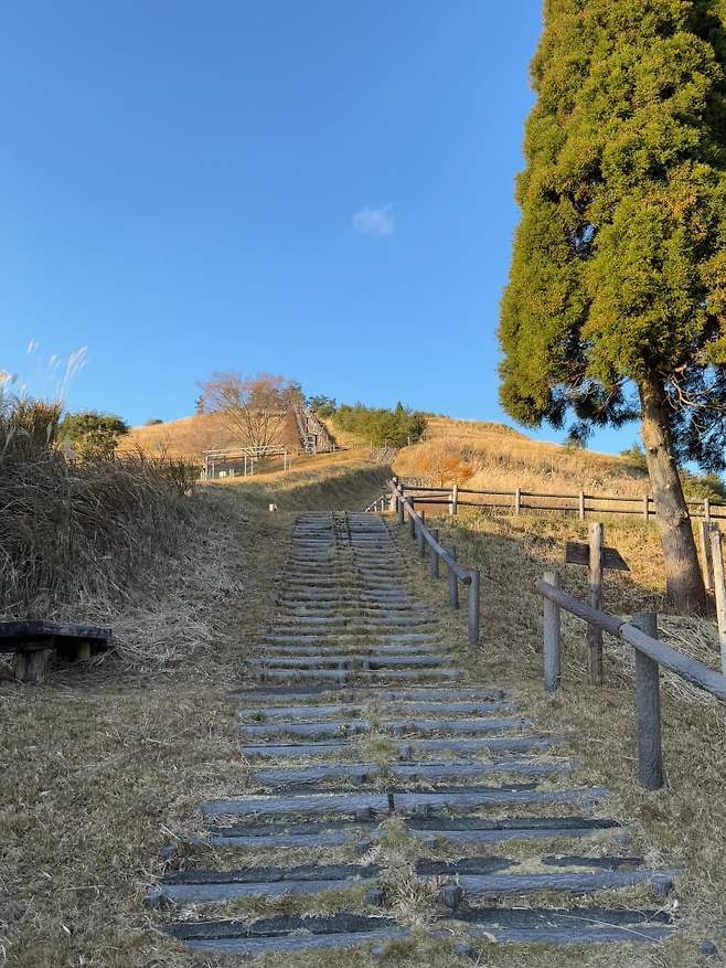 09998471b78a1e80239985e5469c7069f0bde7f981cb850da0eef42a686a0312b941c03e79cfbb267feb5fef6b07f6555599efc3b6