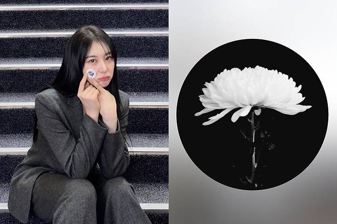 이채연 소셜네트워크서비스 계정