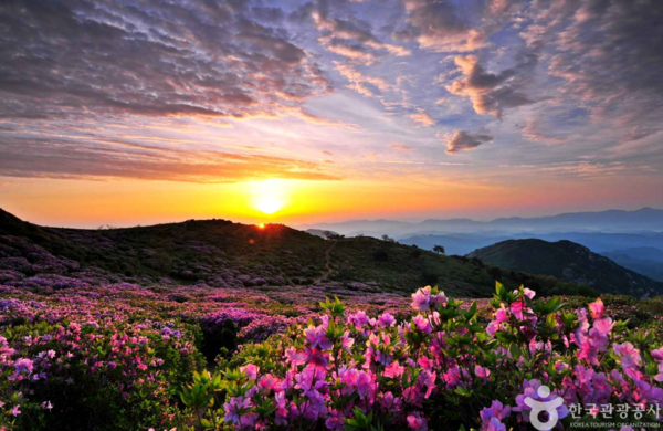 황매산: 이미지 출처 - 한국관광공사