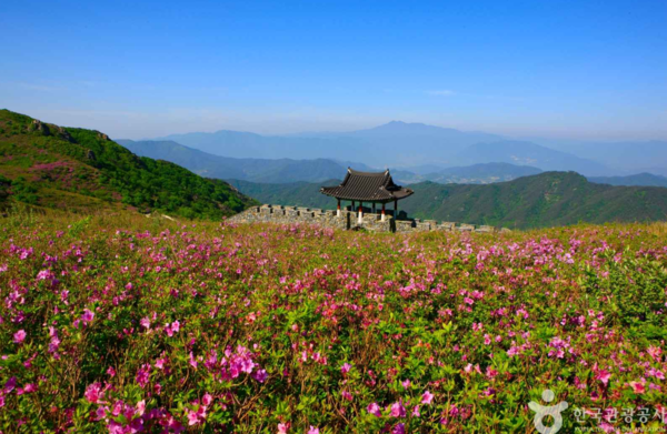황매산: 이미지 출처 - 한국관광공사