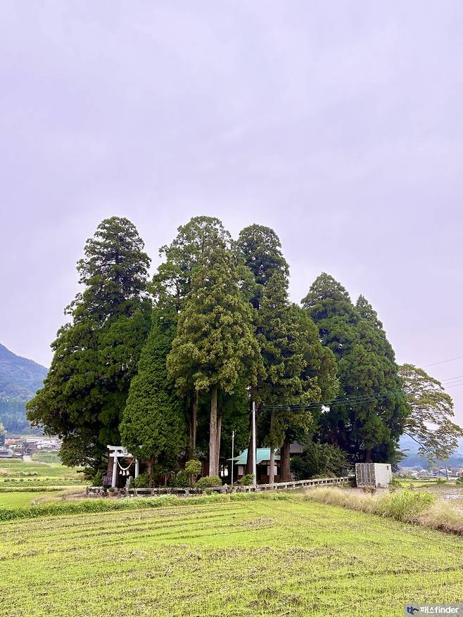 7fed8272da8368993cebe9e443ee716d493367d9b239059936d15ad9b16cc0f84761fc24168c8b1037df