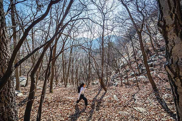 이제 찾는 이가 거의 없는 듯 짙게 깔린 낙엽이 햇빛을 받아 황금빛으로 빛나고 있었다.