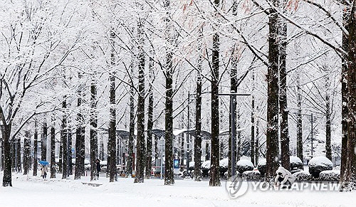 대설주의보가 발효된 지난해 12월 28일 광주 북구 전남대에서 시민들이 교정을 거닐고 있다. [광주=연합뉴스]