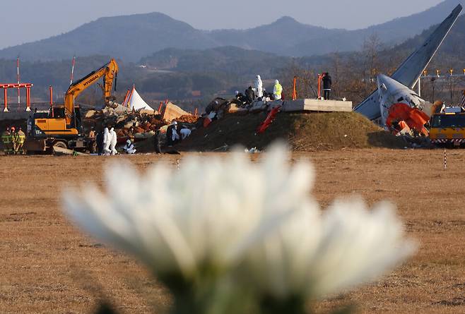 2025년 1월1일 전남 무안국제공항 ‘제주항공 참사’ 현장 인근에 한 추모객이 남긴 국화꽃 뒤로 관계자들이 방위각 제공시설을 살피고 있다. 연합뉴스