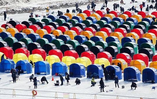 평창송어축제 텐트 낚시장 전경. 평창송어축제위원회 제공