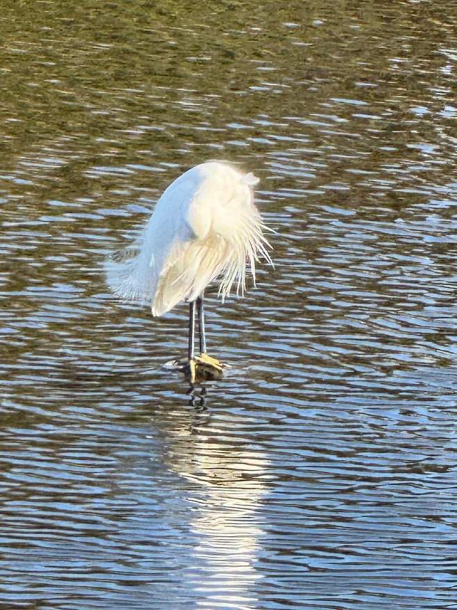 75998803b78b6cf5239b81e1469c706dc840005c2677fb36020c3ac7c76810fe49ff50096bc43515253d76588d4c89da7b2ebad63e