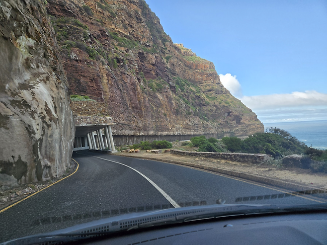 image.png 남아프리카 공화국 여행기!