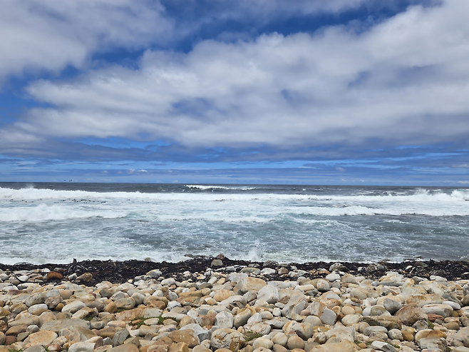 image.png 남아프리카 공화국 여행기!