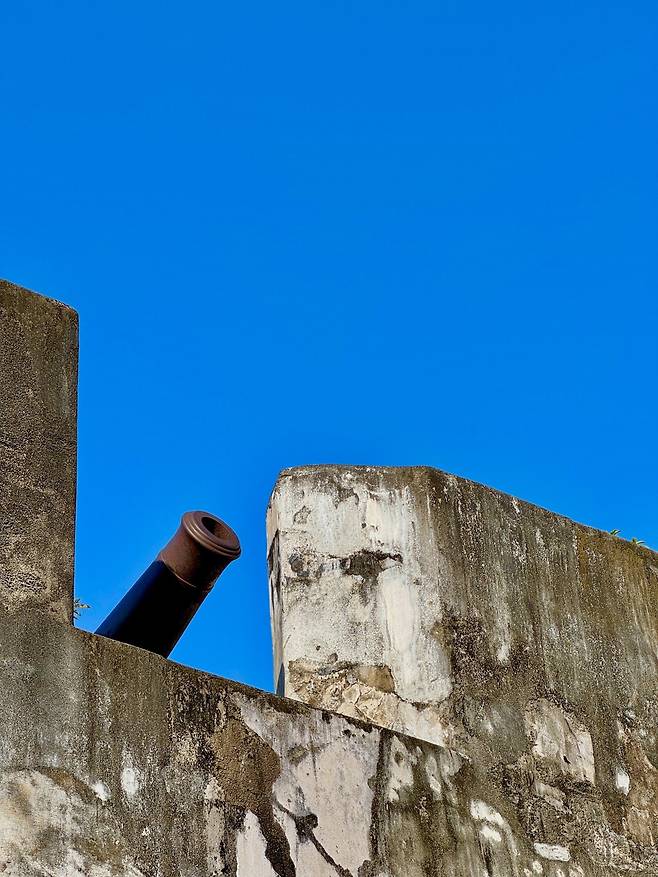 4박 5일 홍콩여행 다녀왔어요 (마카오 당일)