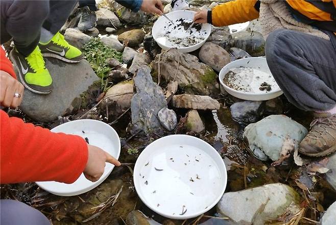 생물다양성 탐사 바이오 블리츠 / 사진 = 환경부