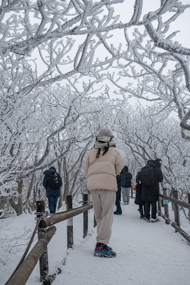 1일 전북 무주군 덕유산이 눈꽃으로 덮인 모습. /박상훈 기자