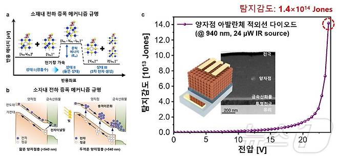 양자점 소재 및 소자에서의 아발란체 전하 증폭 메커니즘 개요도.(KAIST 제공)/뉴스1