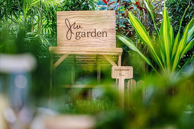 JW 가든에서는 식재료를 직접 재배하며 호텔 게스트들이 자연과 교감할 수 있는 평화로운 안식처 역할을 한다.