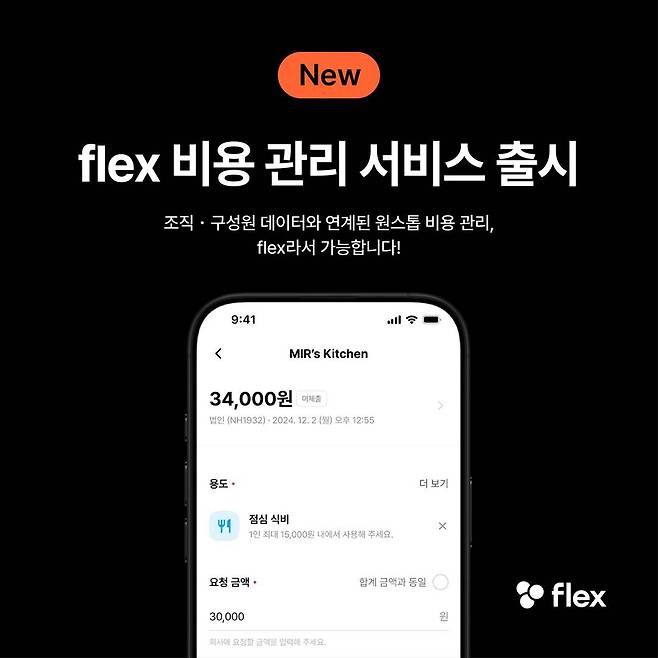 플렉스 비용 관리 서비스 / 출처=플렉스