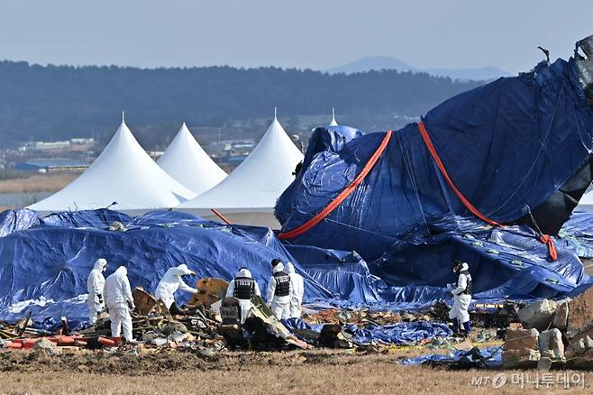 [무안=뉴시스] 이영주 기자 = 국토교통부 항공철도사고조사위원회 소속 감식반이 8일 오전 전남 무안군 무안국제공항 내 제주항공 여객기 참사 현장에서 사고 여객기 잔해물을 수거하고 있다. 2025.01.08. leey2578@newsis.com /사진=