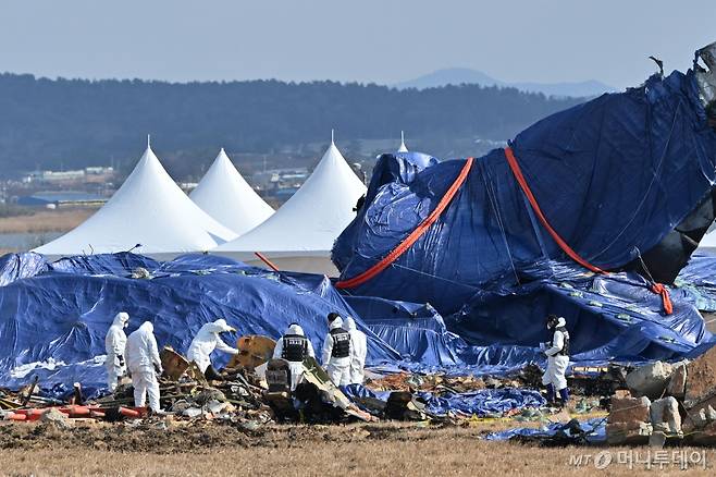 [무안=뉴시스] 이영주 기자 = 국토교통부 항공철도사고조사위원회 소속 감식반이 8일 오전 전남 무안군 무안국제공항 내 제주항공 여객기 참사 현장에서 사고 여객기 잔해물을 수거하고 있다. 2025.01.08.
