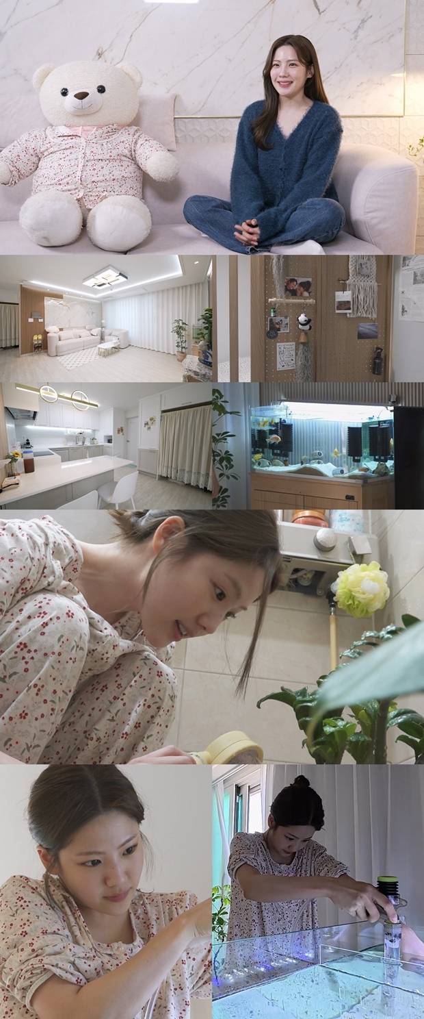 티브이데일리 포토