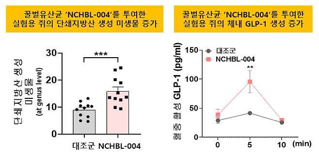 사진제공=노드큐어