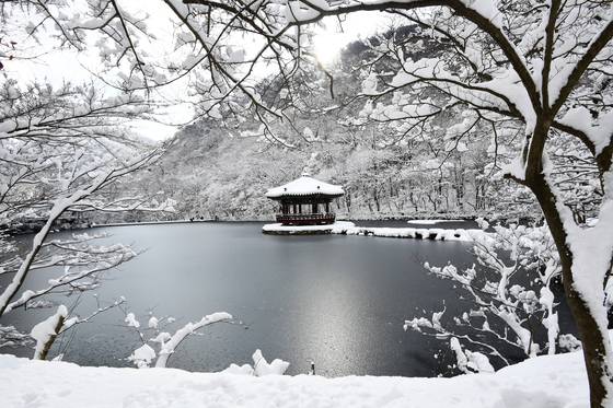 내장산국립공원 자연관찰로 코스의 설경. 국립공원공단 제공