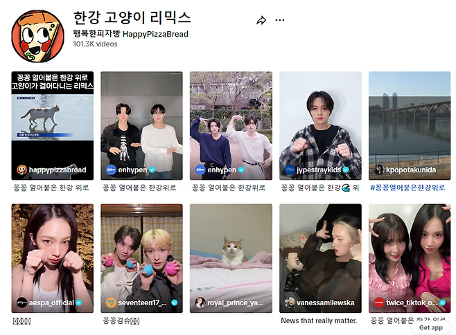 틱톡에서는 같은 음원을 사용한 영상을 모아볼 수 있다.  ‘꽁냥이 챌린지’ 음원으로 제작된 콘텐츠 갈무리. 틱톡