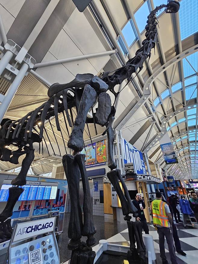 20241025_075826.jpg (스압) ANA(전일본공수) 비지니스석 "더 룸" 리뷰 ㄷㄷㄷ.jpg