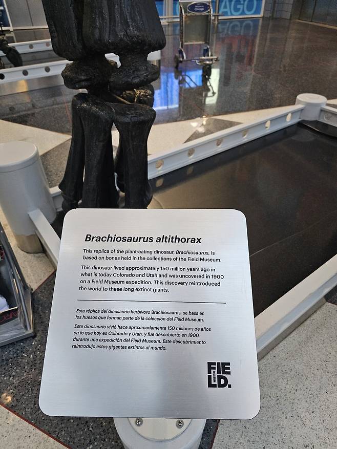 20241025_075816.jpg (스압) ANA(전일본공수) 비지니스석 "더 룸" 리뷰 ㄷㄷㄷ.jpg