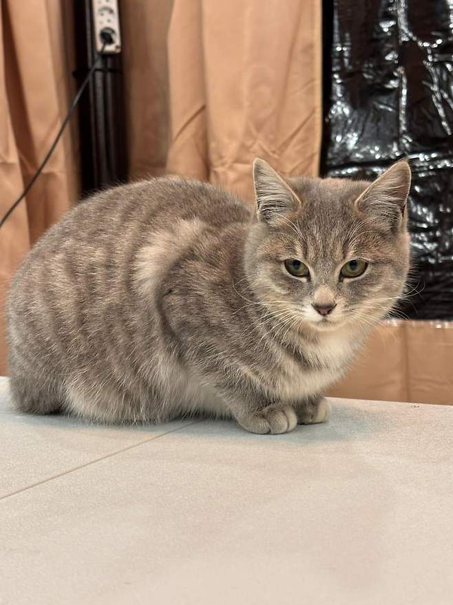 09edf574c3f06df2239b81e0459c706c30321f8e65de7483be581814089534f7c888329aeb59df16dae8cb7df8617315c653b1a12d