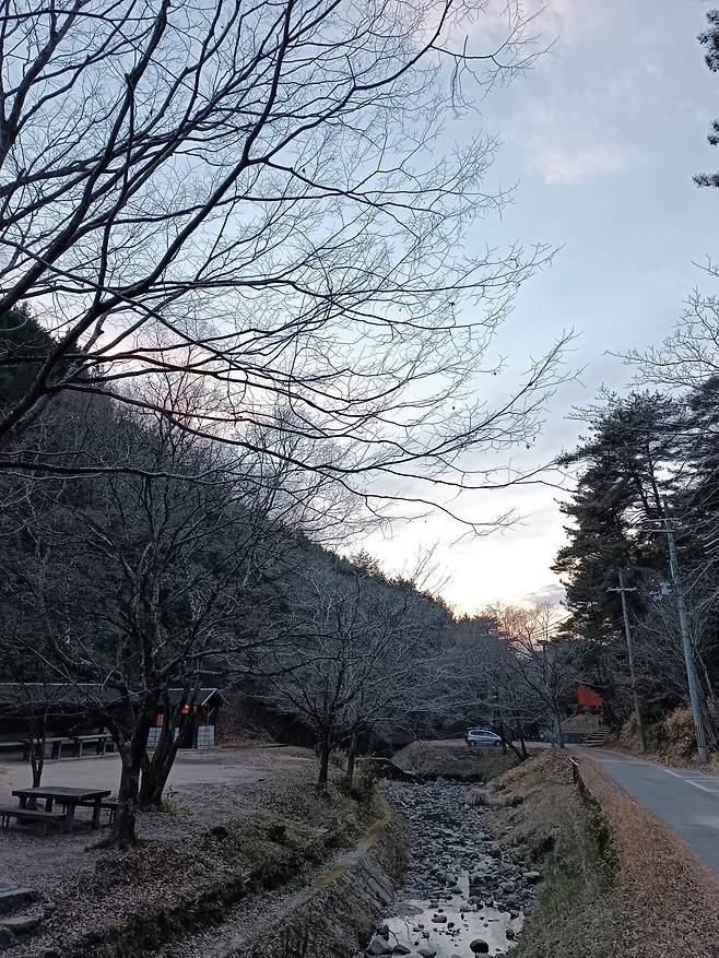 신년맞이 해먹자캠