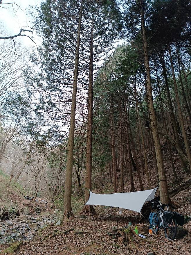 신년맞이 해먹자캠