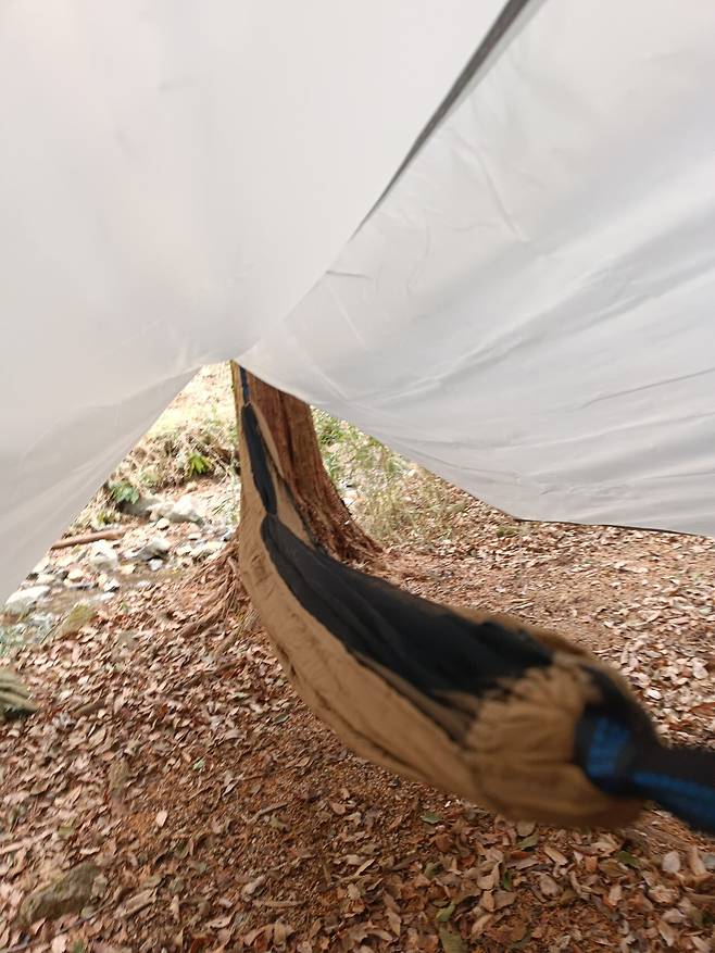 신년맞이 해먹자캠