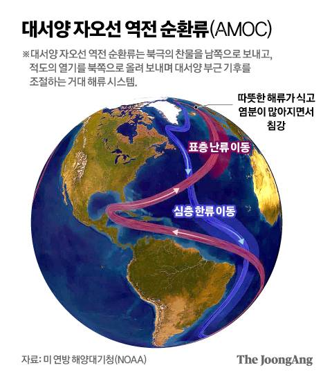 정근영 디자이너