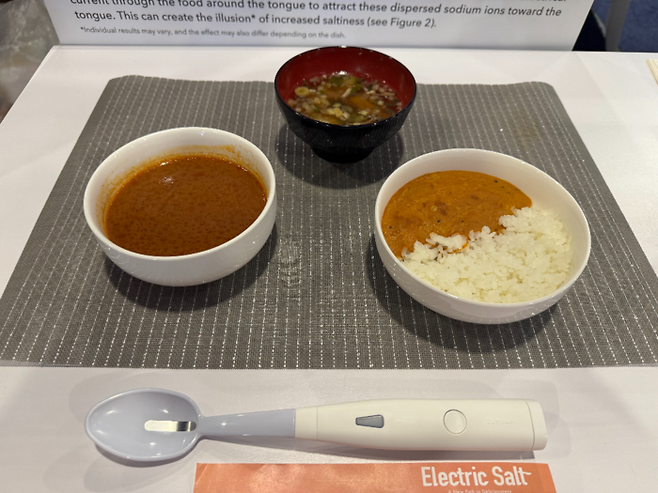 기린홀딩스의 전기 소금 숟가락. [이가람 기자]