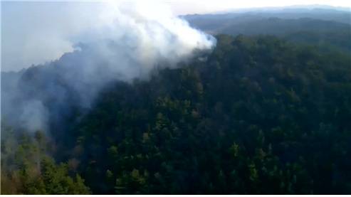 지난 2023년 4월 충청남도 한 야산에 발생한 산불.[산림청 제공]