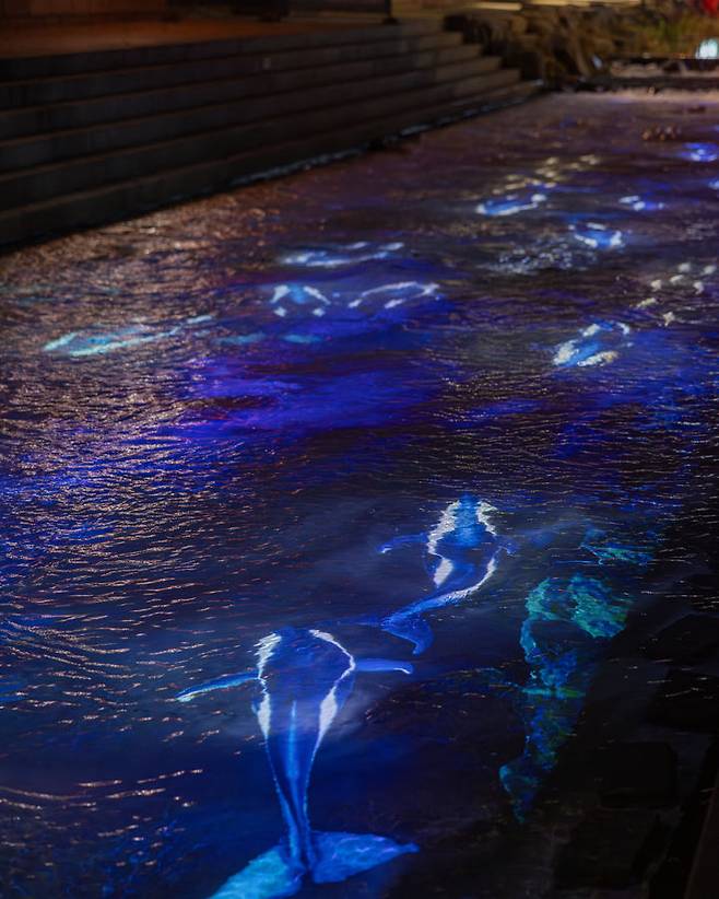 '2024 서울빛초롱축제'의 '신비의 물결'  *재판매 및 DB 금지