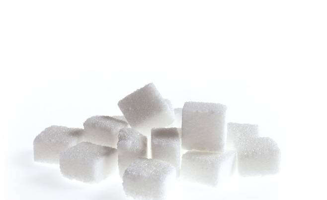 ⓒ시사저널 사진자료