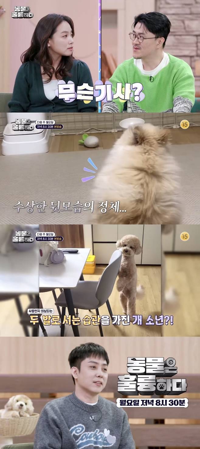 [사진 = KBS 제공]