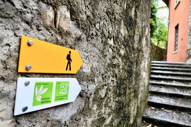 올리브나무 트레일이 갈 길을 알려준다