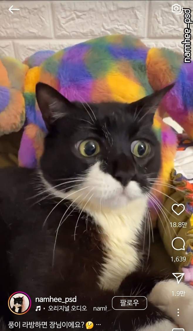 1ebec223e0dc2bae61abe9e74683716d95d523a0bc059af2f850d4bab1f055818bd216bc82e3c9d4b3d9228987095703cfcdbb1f83