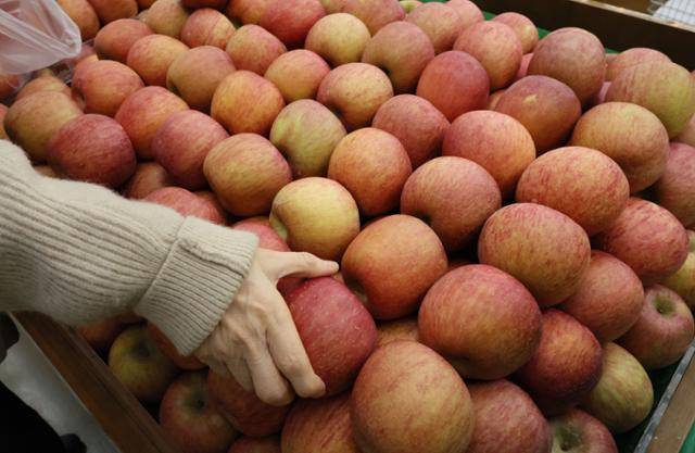 9일 서울 서초구 하나로마트 양재점 사과 매대에서 한 소비자가 사과를 고르고 있다. 연합뉴스