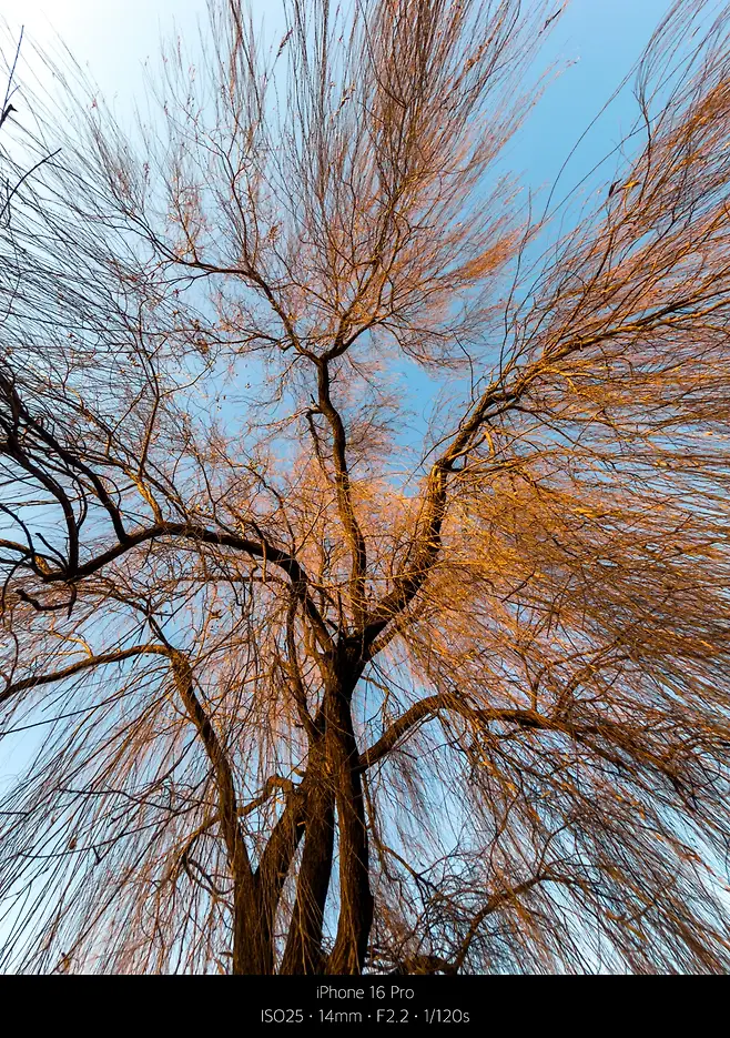 0490f719b18a6af320a8d3b706f11a39335c95818e4f38830eb1