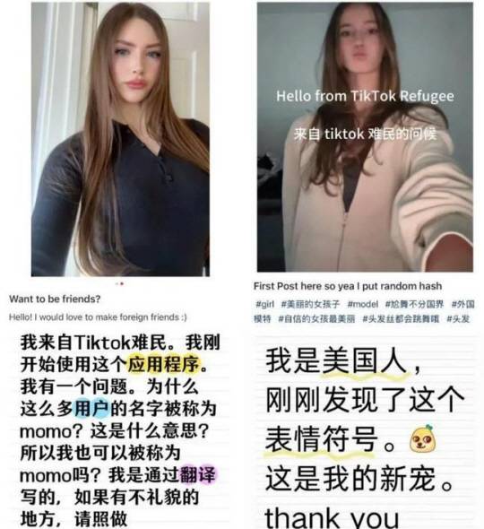 샤오훙수의 ‘틱톡 난민’. 시나닷컴 캡처·연합뉴스