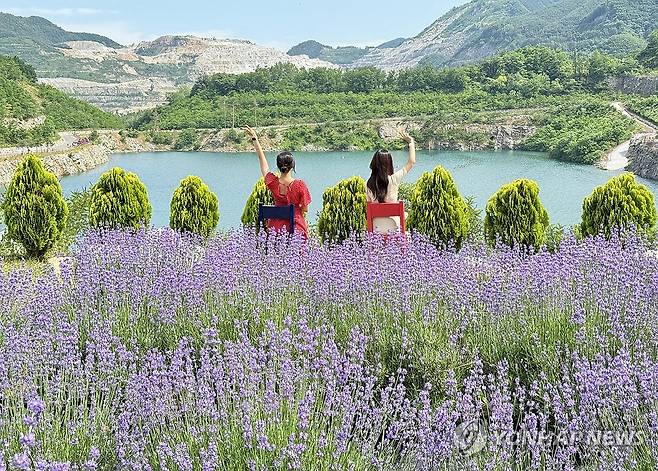 무릉별유천지에서 기념사진은 못 참지 [연합뉴스 자료사진]