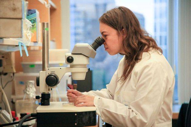 지난해 10월 미국 메사추세츠주 보스턴에 있는 메사추세츠 종합병원에서 한 연구원이 실험을 하고 있다. ⓒ AFP/연합뉴스