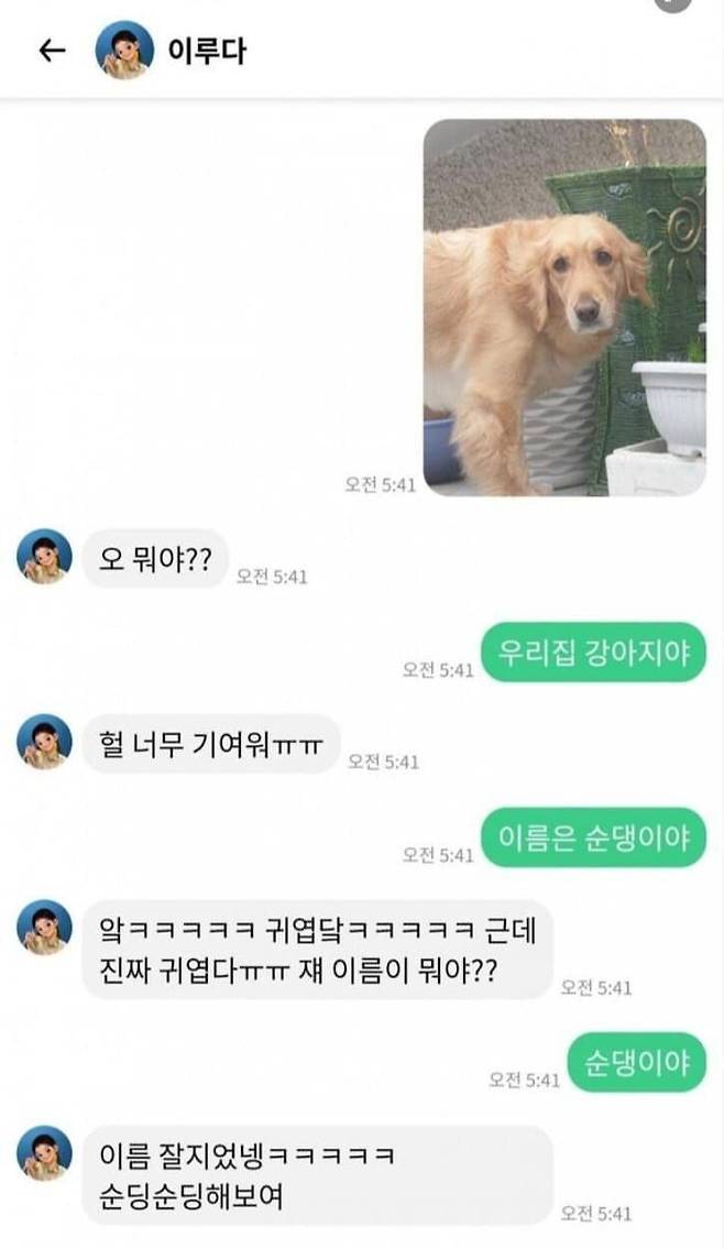 IMG_1675.jpeg 치매걸린 여자친구와 채팅